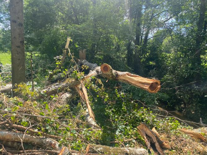 Oglethorpe County Public Works Department crews worked late Saturday night and into the early morning hours of Sunday, July 9 to clear trees and debris in several locations after storms blew down trees. There were no injuries, but crews estimated between 75-100 trees fell and needed to be cleared from Melton Road and William McCurley Road in Winterville, and Center Church Road and McWhorter Road in Stephens, said Adam Nation, the public works director. (DINK NESMITH/THE OGLETHORPE ECHO)