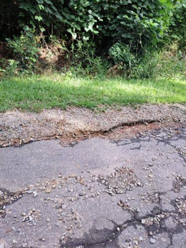 Sarah Collins, who lives on Harris Drive, stressed the poor condition of Harris Drive, which includes paving in need of repair and overgrown trees and brush, which need to be trimmed. (SARAH COLLINS/FOR THE OGLETHORPE ECHO)