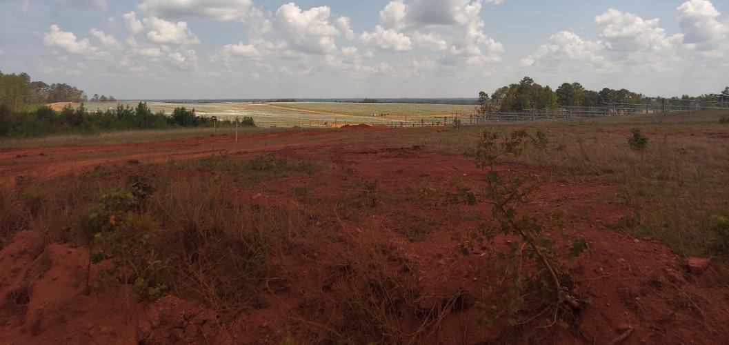 (SUBMITTED PHOTO) Hundreds of acres of land on Goose Pond Road in the northeast corner of Oglethorpe County have been cleared for the Timberland Solar Project.