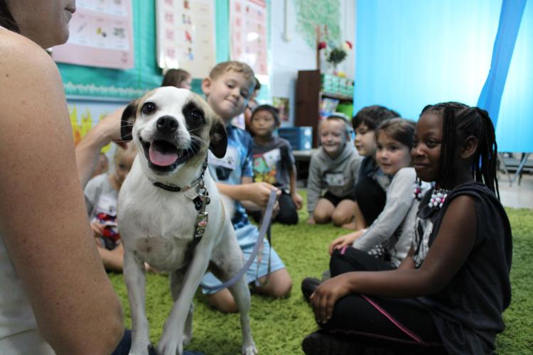 Rina Southall’s first grade class had a furry visitor for their Rock Your School Day. The Ruzowicz family’s dog, Lucy, excitedly played with the class while they enjoyed their veterinarian themed classroom. (Photo/Caleb Baldwin)