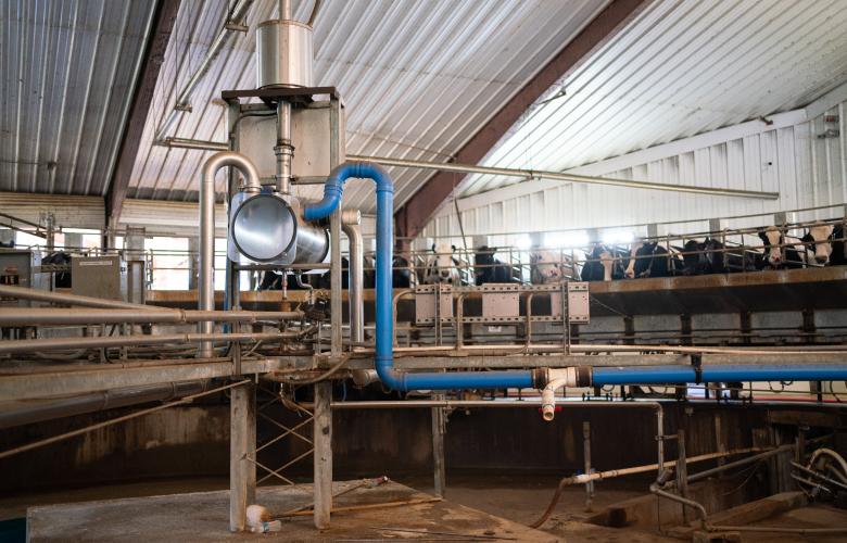The dairy cows are milked on the rotary milking parlour on Nov. 8, 2023. The Cabaniss Dairy farm exports organic milk from Stephens, Georgia, in Oglethorpe County. (Sidney Chansamone/The Oglethorpe Echo)