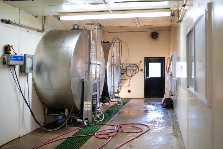 The milked frrom the rotary milking parlour is chilled in tanks on Nov. 6, 2023. The Cabaniss Dairy farm exports organic milk from Stephens, Georgia, in Oglethorpe County. (Sidney Chansamone/The Oglethorpe Echo)