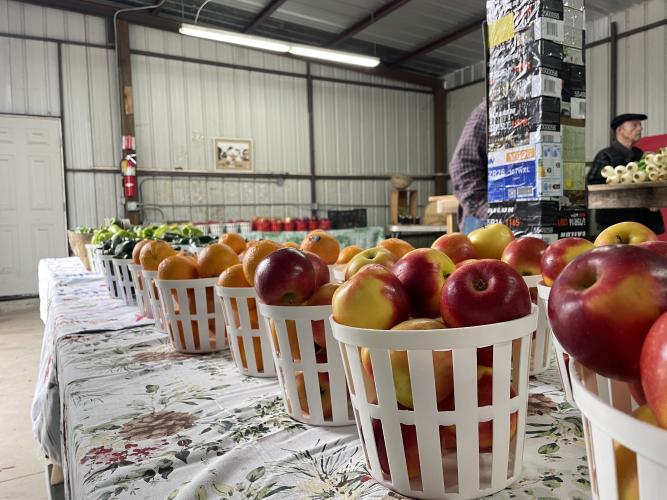 Strickland Pride Produce sells a variety of fruits, vegetables and canned goods during its grand opening on Feb. 5, 2024. Kendall Strickland, the owner of Strickland Pride Produce, relocated the shop from a roadside stand in Lexington to a building in Crawford. (Margaux Binder/The Oglethorpe Echo)