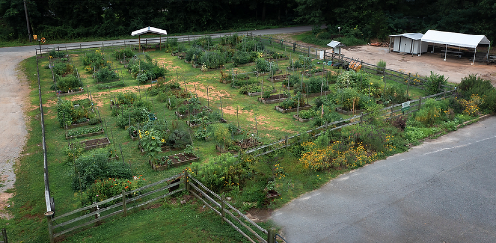 The Winterville Community Garden is a city-sponsored space for gardeners to rent soil beds and grow fresh produce. Four beds are dedicated to providing produce to local food banks. (Submitted Photo)
