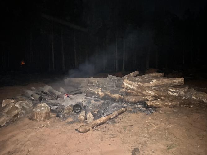 Burnt wood lies in the aftermath of a stack of trees left unattended by developers lacking the necessary burn permit. The pile has been identified as the cause of the 7.98 acre fire on Yancey Road last Wednesday.(submitted photo)