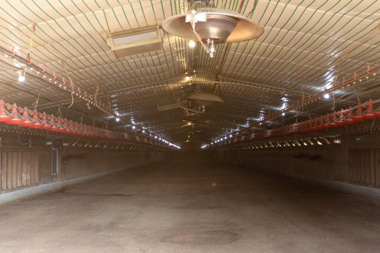 Howard Sanders’ poultry farm, Salem Oaks Farm Inc., is pictured in Stephens, Georgia, on Friday, Sept. 29, 2023. A company had picked up the chickens for meat, and Sanders expects to receive a new batch of chickens. (Photo/Allyson Reynolds)