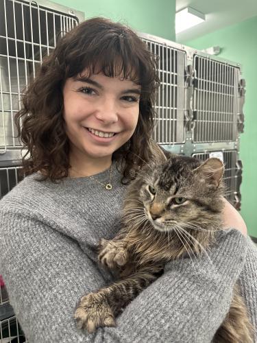 Lee Short with the Oglethorpe Echo holds Harold, one of the adult cats waiting for adoption at the Madison Oglethorpe Animal Shelter. (Lily Murphy/Oglethorpe Echo)
