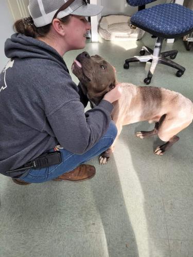Juli Huth, the Shelter Manager, plays with Buddy, a stray that was brought in. Buddy is waiting for adoption while happily living in a foster home. (Submitted Photo)
