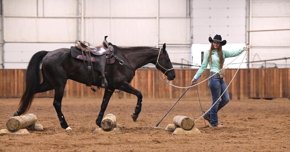 Raven Cooper demonstrates how to get a horse to walk calmly over obstacles at her Clinton Anderson horse training certification, with horse AJ in Arkansas in July 2022. Cooper gives back what she has learned to the 4-H community by coaching students in horse quiz bowl and judging knowledge. (Submitted Photo)