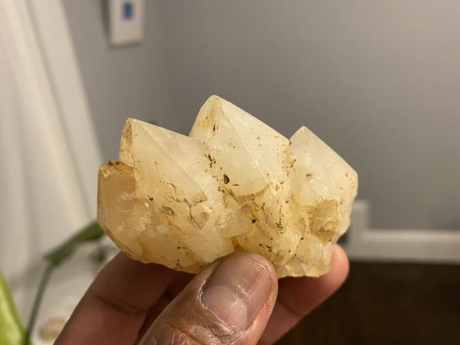 Ron Brown holds a crystal he discovered in Oglethorpe County. He hopes to eventually build a quality collection that can be submitted to the Georgia Museum of Natural History and the Smithsonian National Museum of Natural History. (Submitted photo)