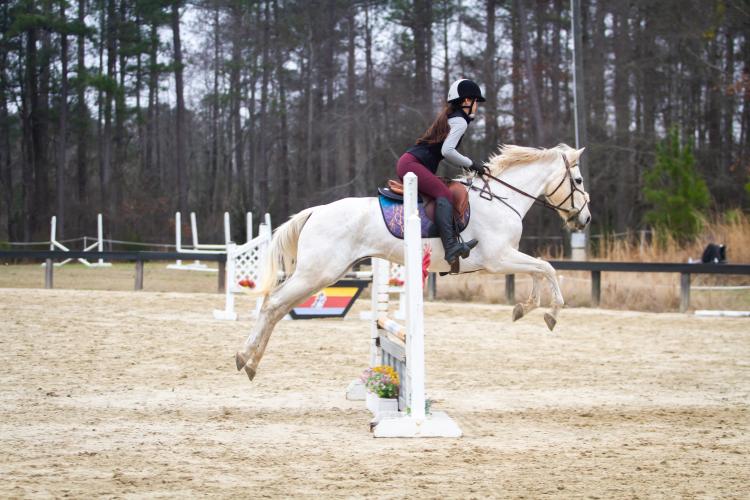 Raven Cooper rides her horse, Lightning Bolt, in the show jumping category at Big Cheese Eventing in Walnut Grove in Walnut Grove. Cooper now coaches 4-H students on horse quiz bowls and horse judging competitions. (Submitted Photo)