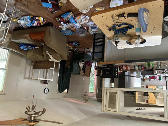 The inside of the mobile home at 337 Benton Road in Carlton on June 22, 2024. The floor is covered in troddedn-down dog feces and garbage. Neighbors say that as many as 20 dogs could be roaming the abandonded property, killing nearby chickens and chasing nearby horses. (Zeke Palermo/The Oglethorpe Echo)