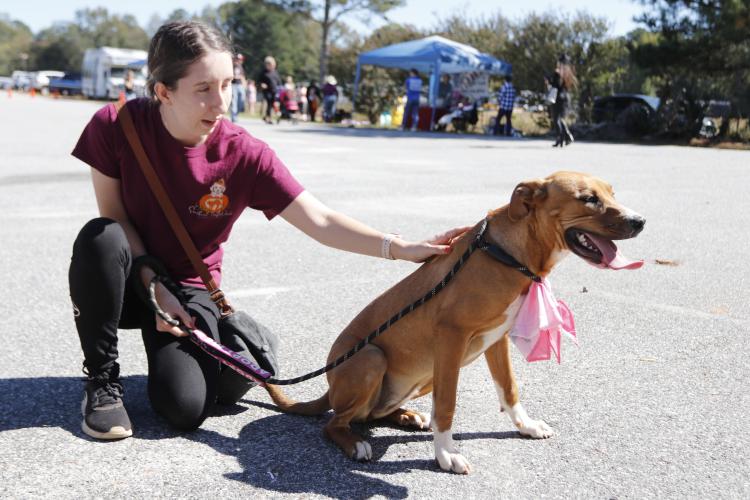 Jessica Adams, a volunteer, pets Addy the dog at Madison Oglethorpe Animal Shelter on Saturday, Oct. 19. The shelter held its Halloween Costume Party on Saturday, which had a goal to get donations and expose people to the animals in the shelter. MOAS receptionist Kimberly Sparks said canned cat and dog food and newspapers are two of the items they are in the greatest need of. (Ella Kroll/The Oglethorpe Echo)