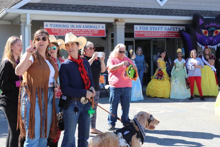 Attendees watch contestants in the costume contest at Madison Oglethorpe Animal Shelter's Halloween Costume Party on Saturday, Oct. 19. Both dogs and people participated in the contest, and categories judged included "Funniest Costume," "Spookiest Costume" and "Most Creative." (Ella Kroll/The Oglethorpe Echo)