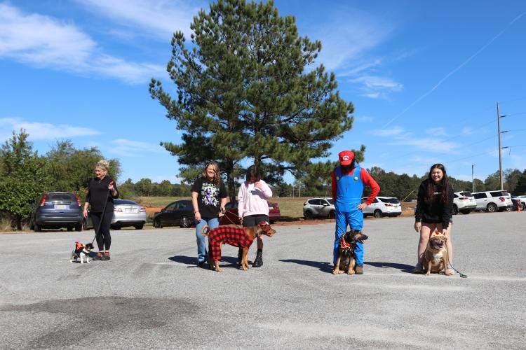 Contestants line up to be judged at Madison Oglethorpe Animal Shelter's Halloween Costume Party event on Saturday, Oct. 19. The first category to be judged was "Funniest Costume," and both dogs and people could participate in the contest. MOAS receptionist Kimberly Sparks said seeing dogs in costume is her favorite part of the event each year. (Ella Kroll/The Oglethorpe Echo)