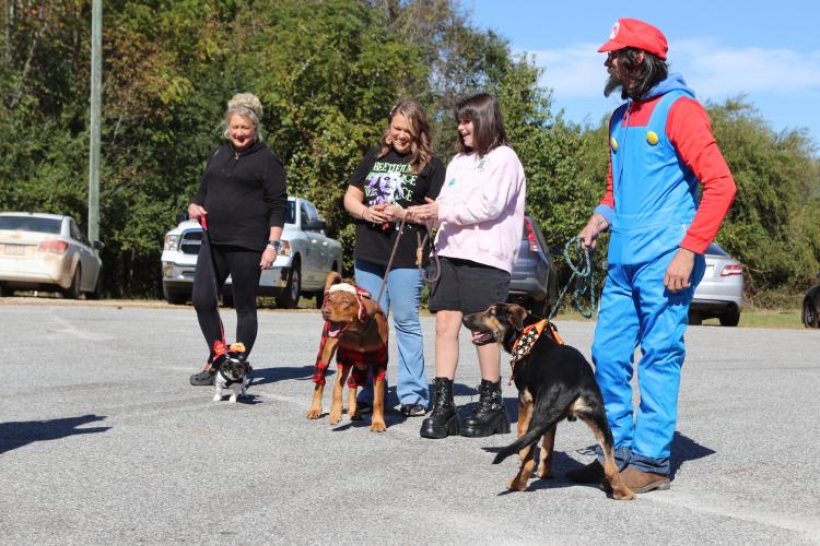 Contestants line up to be judged at Madison Oglethorpe Animal Shelter's Halloween Costume Party event on Saturday, Oct. 19. The first category to be judged was "Funniest Costume," and both dogs and people could participate. Other categories included "Spookiest Costume" and "Most Creative," and MOAS receptionist Kimberly Sparks said seeing dogs in costume is her favorite part of the event each year. (Ella Kroll/The Oglethorpe Echo)