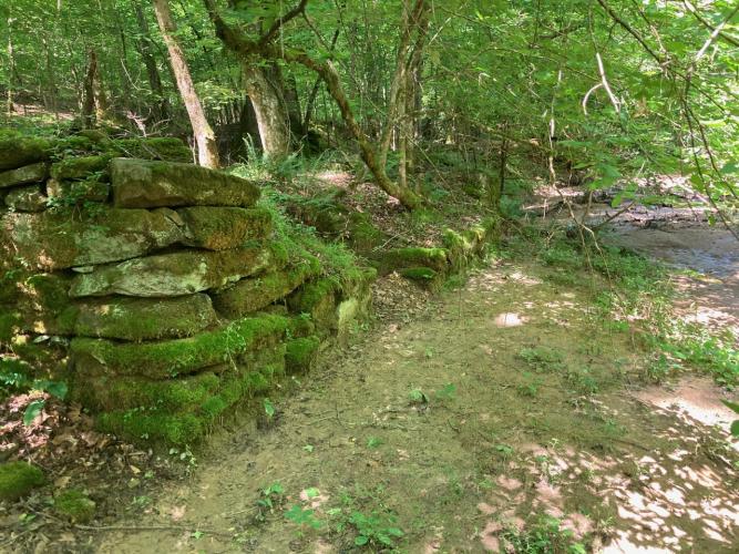 Tom Gresham and Greg Yoder spent three years documenting mill ruins throughout Oglethorpe County. They found these mill building ruins at Brooks Mill. (Submitted Photo)