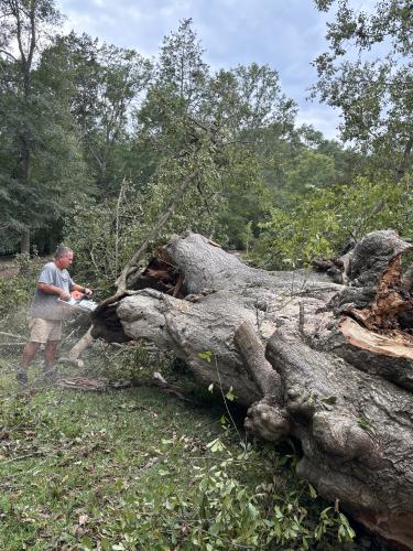 John Turner, who lives on South Gilmer Street in Lexington, cuts up one of the five trees that fell on his family's property during the storm. Turner said three oaks - possibly at least 100 years old - and two pecan trees fell. (ANDY JOHNSTON/THE OGLETHORPE ECHO)