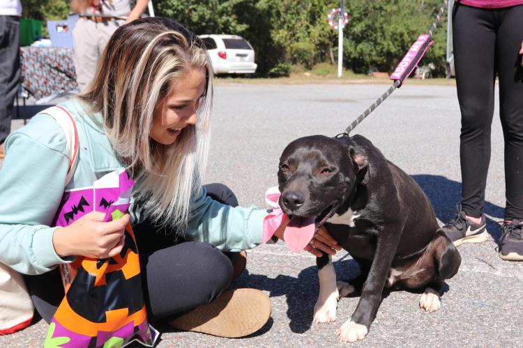 Mikhala Ogle pets 8-month-old Boone at Madison Oglethorpe Animal Shelter on Saturday, Oct. 19. Ogle brought her daughter to the event for the photo opportunity with costumed Disney princesses, but said she enjoyed seeing the dogs that volunteers were walking around the event. "Any chance to pet dogs, I will not pass up," Ogle said. (Ella Kroll/The Oglethorpe Echo)