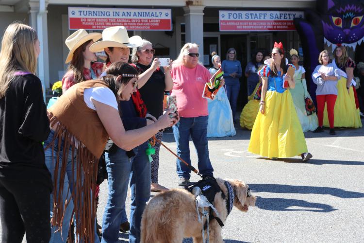 Attendees photograph contestants in the costume contest at Madison Oglethorpe Animal Shelter's Halloween Costume Party on Saturday, Oct. 19. Both dogs and people participated in the contest, and categories judged included "Funniest Costume," "Spookiest Costume" and "Most Creative." (Ella Kroll/The Oglethorpe Echo)