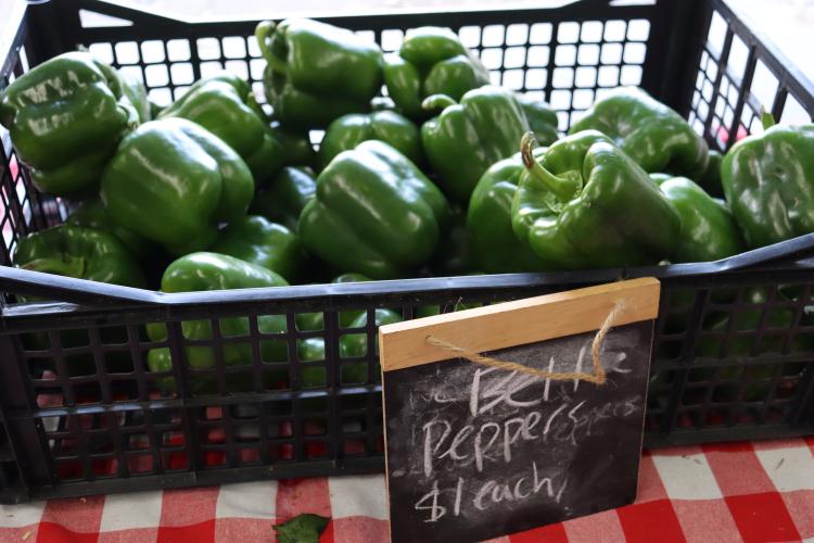 Strickland Pride Produce offers a variety of locally grown and sourced produce, including green bell peppers for $1 each. Customers from Oglethorpe County, as well as nearby counties like Clarke, Oconee, and Walton, come to purchase the fresh produce sold at Strickland Pride. (Photo / Lilly Stone)