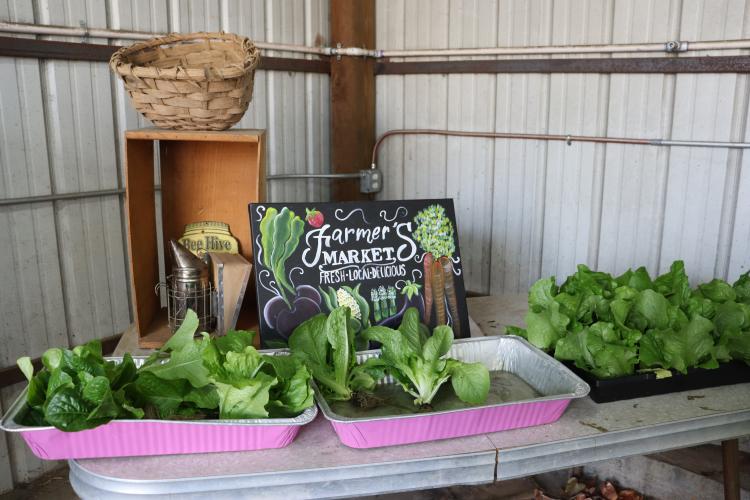 Since opening his storefront location on Feb. 5, 2024, founder and owner of Strickland Pride Produce, Kendall Strickland, has been able to expand his produce selection. Easy access to refrigerators and freezers in the storefront allows him to keep items like lettuce and collards fresh longer, while also offering a wider range of products such as meat, eggs, and dairy. (Photo / Lilly Stone)
