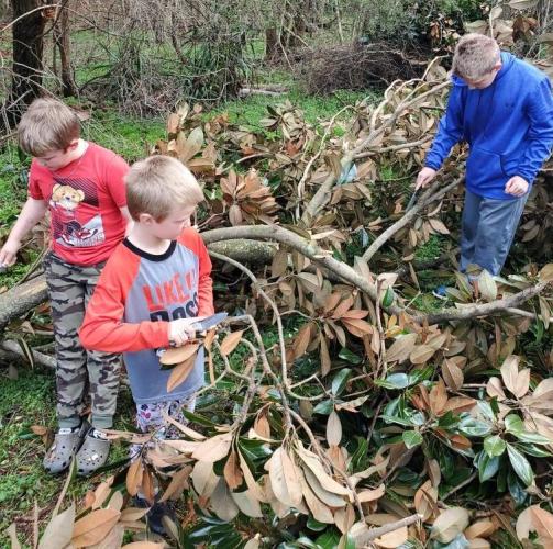 Charley Boss, Wyatt Boss and Everett Boss use their pocket knives to help clear a tree on Cherry Street in Maxeys on Sunday morning. Strong storms and winds blew over trees and knocked out power throughout the county. ADAM NATION/FOR THE OGLETHORPE ECHO