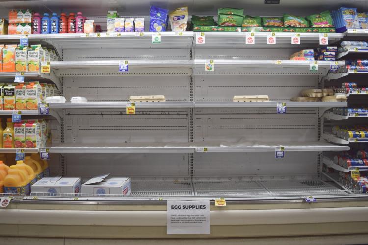 Eggs are few and far between at B&amp;T's Food Fresh Market, where a sign in the egg section reads “Due to a national egg shortage, costs have continued to rise. We continue to provide egg products at the best possible value.” (Photo/Jesse Wood)