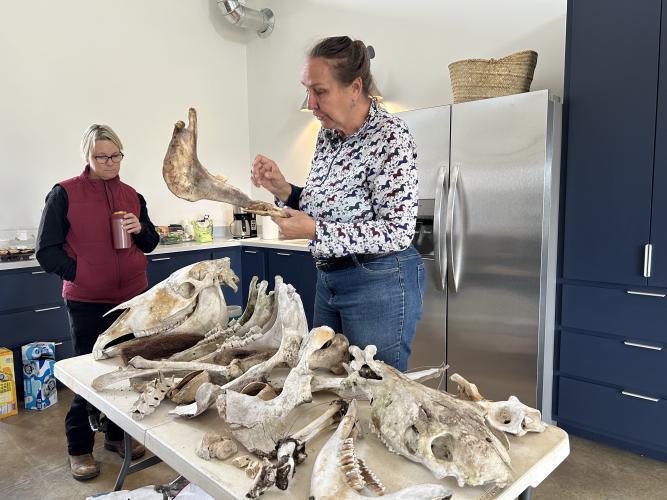 Rebecca Husted, owner of Technical Large Animal Emergency Rescue, shows how to spot physical signs of illness and poor health in a horse’s bones to participants at the Identifying Equine Abuse and Neglect seminar on Sunday at ReDux Equine Rescue. (Photo/ Lilly Stone)