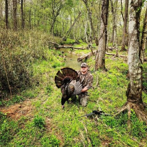Douglas Graham, an Oglethorpe County resident and hunter, harvests a turkey in the county during the 2024 season. Graham said he has hunted turkeys on private land in the county for more than 20 years. (Submitted photo)