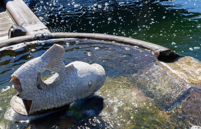 A small fish statue sits atop a fountain within the backyard of Sheriff David Gabriel on Monday, March 17, 2025. In addition to being an aesthetic addition, a running fountain helps promote aeration within a koi pond, which helps to ensure the health of the koi within. (Photo/Felix Scheyer)