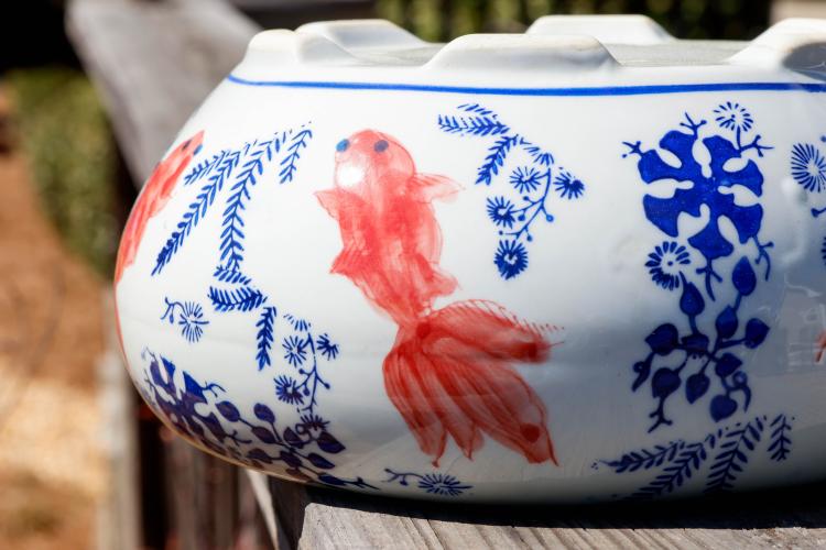 A painted koi fish swims along the surface of a small decoration within the backyard of Sheriff David Gabriel on Monday, March 17, 2025. Gabriel’s back porch resembles a hobbyist’s shrine to koi, complete with decoration, statuary, and imagery of the Japanese carp. (Photo/Felix Scheyer)