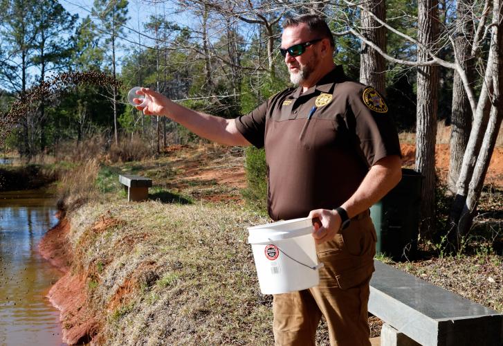 Sheriff David Gabriel tosses koi food out onto the koi mud ponds behind The Koi Store in Watkinsville, Georgia on Monday, March 17, 2025. Presently, The Koi Store has roughly 1,000 koi, spread throughout its mudponds, quarantine ponds, and the main building. (Photo/Felix Scheyer)