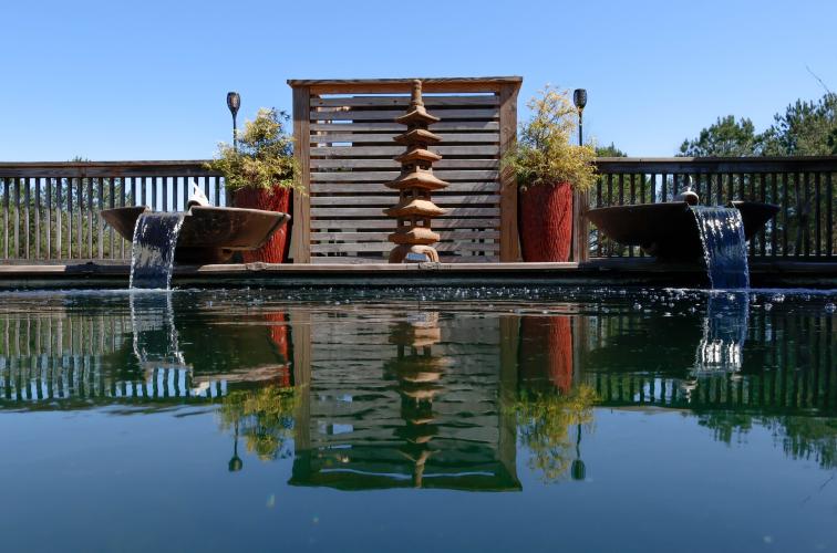 A small decorative pagoda sits across the koi pond within the backyard of Sheriff David Gabriel on Monday, March 17, 2025. Roughly a year ago, Gabriel took his first trip to Japan in order to more fully immerse himself in the koi buying process. He most recently went again this past February. (Photo/Felix Scheyer)