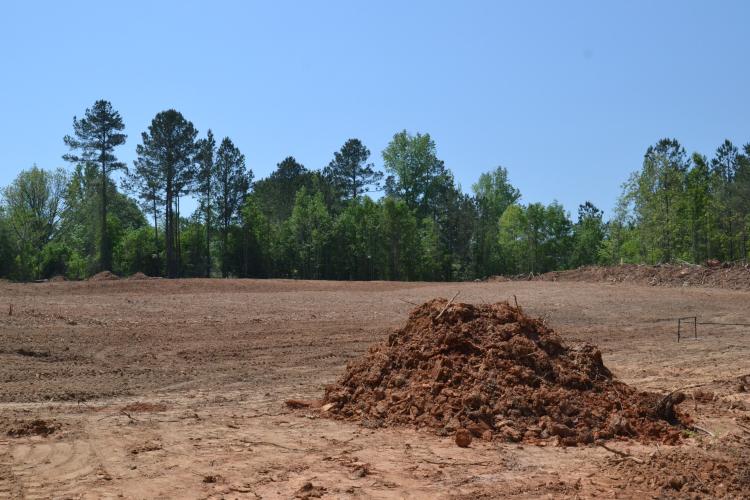 The Holy Ground Community Garden has a large, open field where members of the community can plant crops and flowers. Dwight Howard, founder of the garden, said members must submit an application prior to planting at the garden. (Photo/Adriana Cascio)