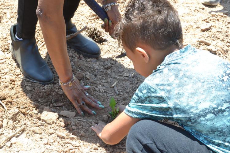 Sheryl Howard, wife of founder Dwight Howard, and Tevin Sintyl, event attendee, plant the third sprout at the Holy Ground Community Garden grand opening. Craig and Chelsie Cheesborough, event attendees, brought three coneflower sprouts to be the first plants at the garden, representing "the Father, the Son and the Holy Ghost." (Photo/Adriana Cascio)