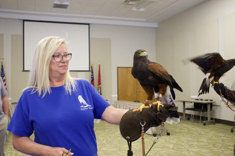 Donna Blanton, a licensed master falconer and member of the Georgia Falconry Association, presents her Harris’s hawk. She and her husband, Dennis, both master falconers, hunt with their sister Harris’s hawks, a species known for hunting exclusively in groups. Photo/ Lilly Stone)
