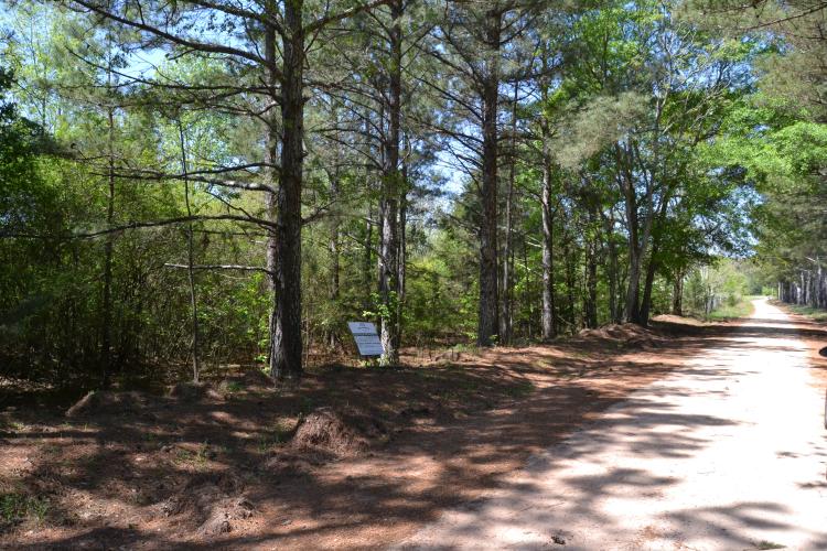 A 3.3-acre property on Wallace Meyer Road could be rezoned, which would allow commercial use. Andy Barrs, CEO of Barrs Industries, hopes to build warehouses and self-storage buildings on the property. (Photo/Adriana Cascio)