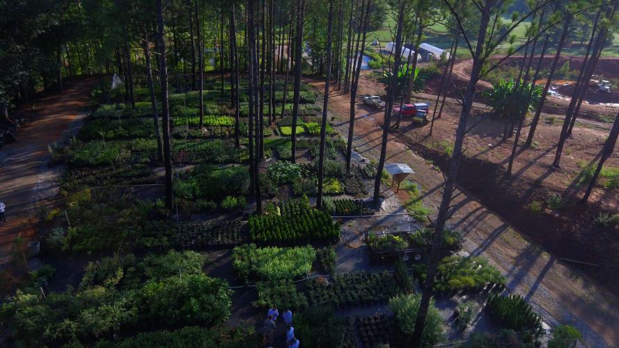 An aerial view of the Upper Nursery at Andrew’s Farm &amp; Nursery. The Upper Nursery holds up to 200 species of plants. (Submitted Photo)