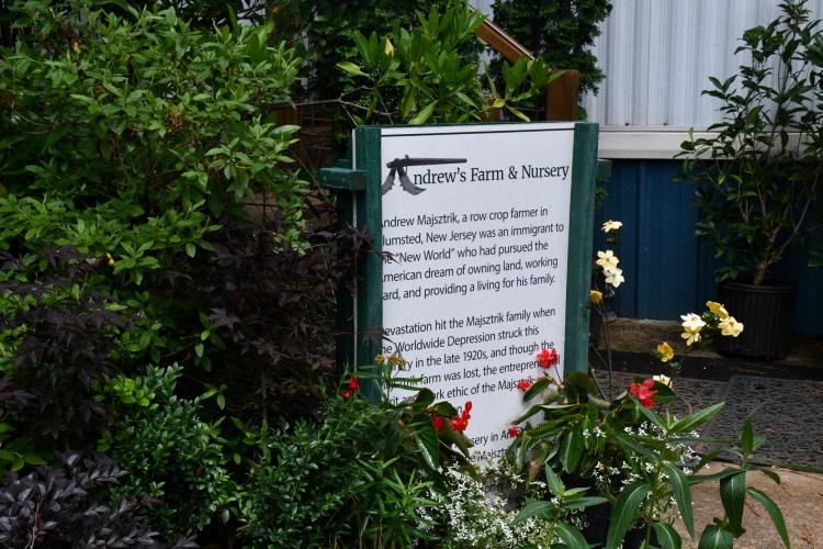 A makeshift showroom sits to the right of the office trailer at Andrew's Farm &amp; Nursery. Andrew Majsztrik tries to bring a few of each plant up from the nursery for customers to easily shop. (Photo/Jennifer Xia)
