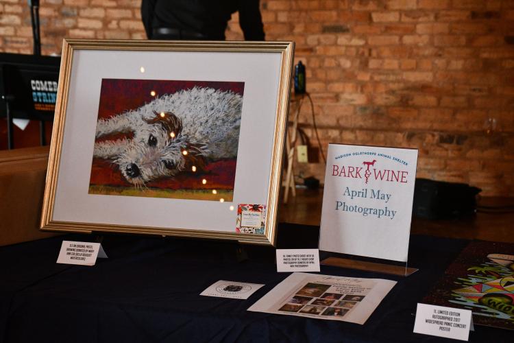 Local businesses donated goods and services for the Madison Oglethorpe Animal Shelter's 10th annual Bark &amp; Wine auction. (Photo/Jennifer Xia)