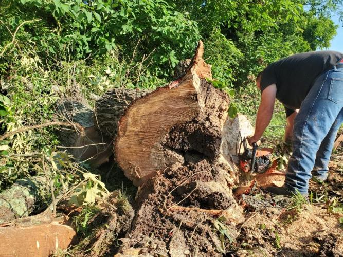 A crew from the Oglethorpe County Public Works Department clears a large oak that blocked Crawford Smithonia Road after storms knocked down more than 50 trees throughout the county on Saturday evening. The crew included Dwayne Fowler, Christian Moon, Logan Gabriel and Kayla Gravely. (Submitted Photo)