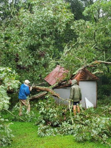 Smithonia’s Cindi Johnson lost two old oak trees from this summer's rains, one on June 7 and the other on Aug. 4. The one that fell last week caused extensive damage to the Johnsons’ well building. (Submitted Photo)