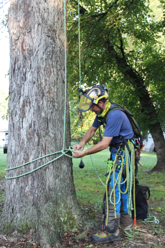 On Friday, Sept. 5, Hart sets up his equipment to ensure a safe climb. Hart wears the proper personal protection equipment for climbs. (Emily Adams/The Oglethorpe Echo)
