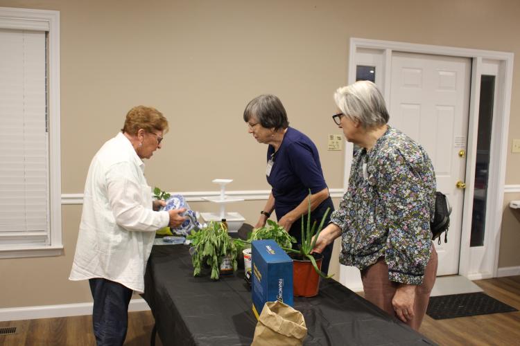 Plowshare members select their raffle items at the 11th anniversary Plowshare meeting on Monday, Sept. 6, 2025, at the Georgia Farm Bureau in Crawford. Members had a potluck and listened to a presentation on growing pawpaw trees before the raffle. (Makenna Reavis/The Oglethorpe Echo)