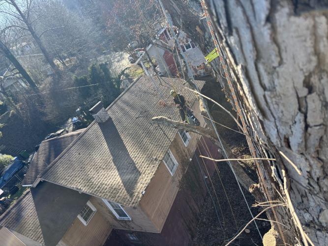 As pictured this past winter, Hart assisted with Hurricane Helene relief work in Asheville and Black Mountain, North Carolina. Hart spent around six months contributing to relief efforts. (Submitted Photo)