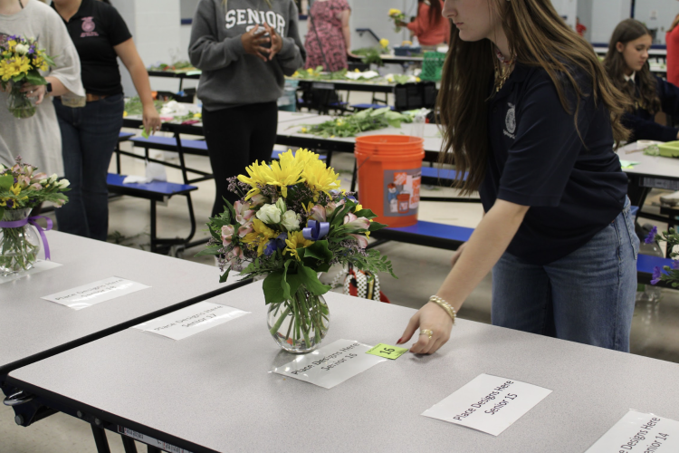 Callie Bridges, a senior at OCHS, places her entry in the senior division of the floral design contest Thursday at Oglethorpe County High School. Her arrangement later won the competition. (Photo/Ella Jones)