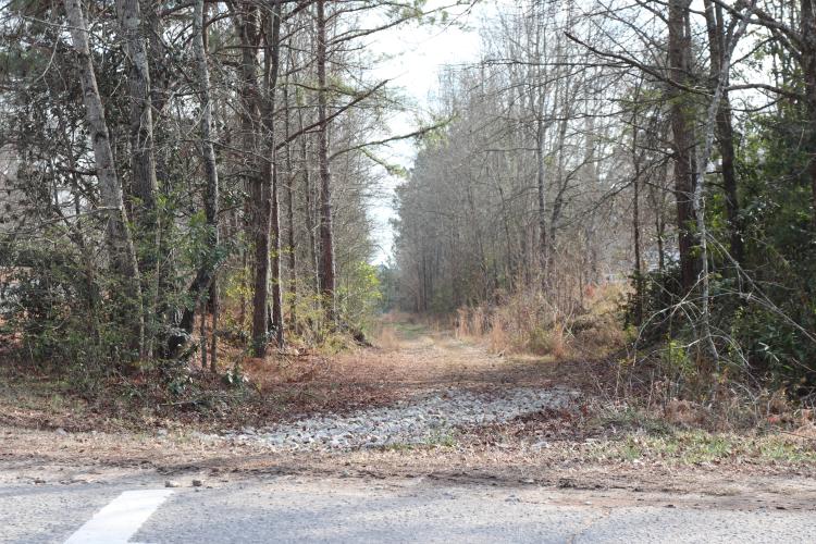 The unfinished section of the Firefly Trail lies next to the completed section in Maxeys. According to Mayor Toledano, the remaining section will be finished in late summer, and the entire project should cost approximately $200-$230,000. (Photo/Jessie Isaacs).