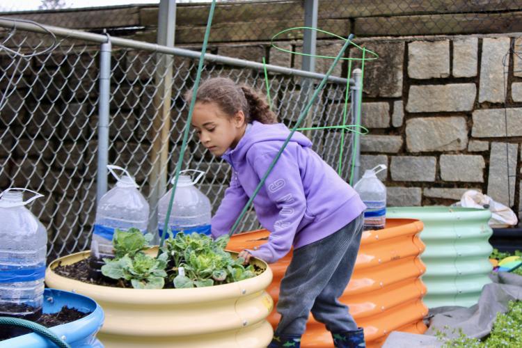Pre-K student Azeriah Silvey looks at Brussels sprouts and other seeds planted in the STEM garden at the Oglethorpe Children’s Academy last week. OCA has received more than $2,500 for the garden and its nutrition programs. (SARAH OWENS/THE OGLETHORPE ECHO)
