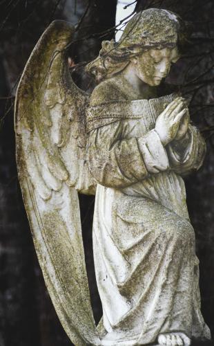 Jerri Helbing photographed an angel in the cemetery of Beth Salem Presbyterian Church. OLLI@UGA students took photos in Lexington on March 9. (Jerri Helbing/for the Oglethorpe Echo)